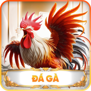 Đá gà OPEN88